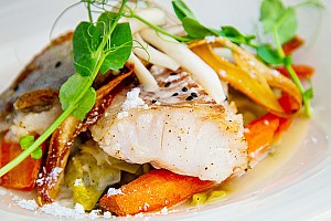 fischgerichte 290525026